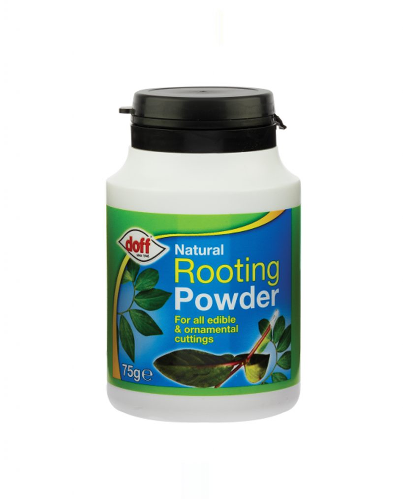 Rooting Powder 75g – Aroma Nursery wll – Webstore